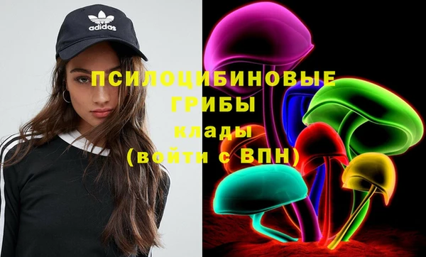 крисы Алексеевка