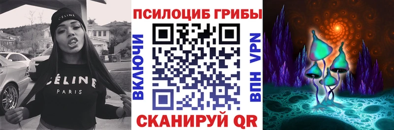 Псилоцибиновые грибы прущие грибы купить закладку Александровское