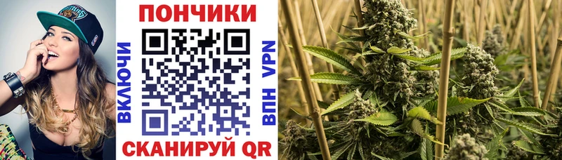 Канабис индика  Александровское 